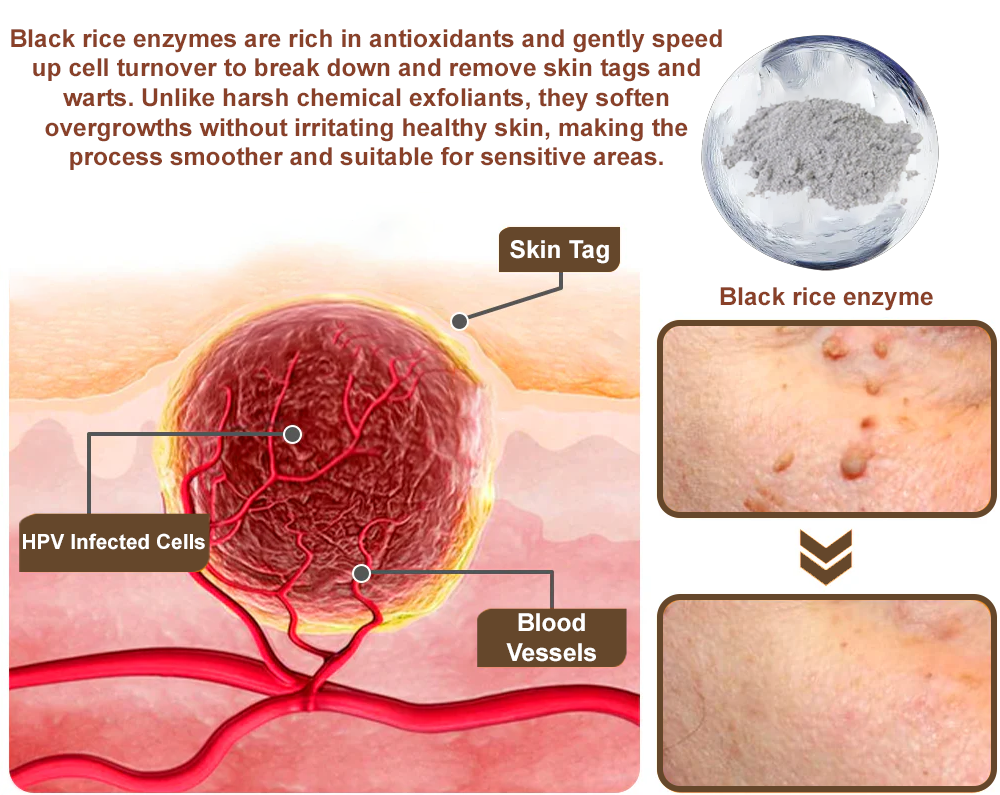 LOVILDS® Rice Bran Extract Cream | TGA-Certified Skin Growth & Keratin Care