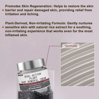LOVILDS® Rice Bran Extract Cream | TGA-Certified Skin Growth & Keratin Care