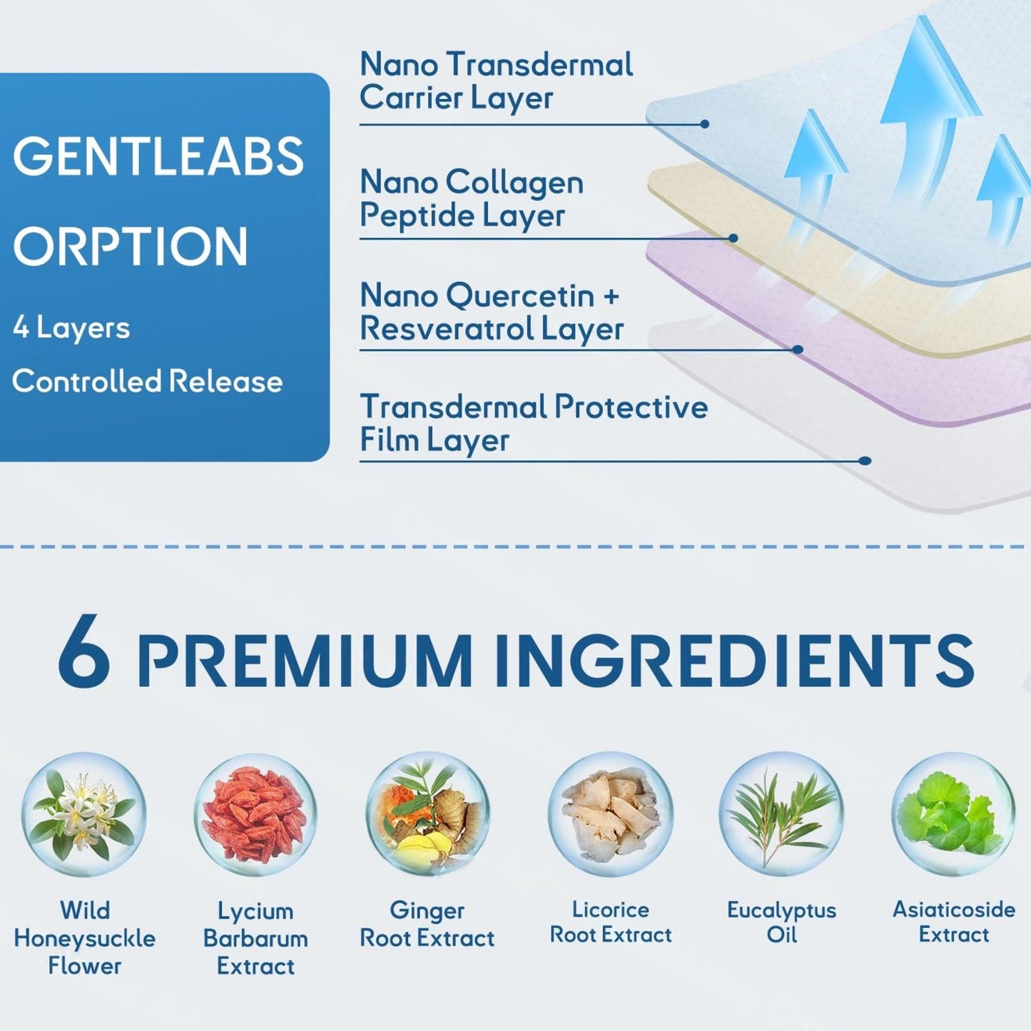 🫁✅FDA Approved LOVILDS™ Double Nano COPD Relief Patch (💝 Cough, wheezing, shortness of breath, sputum, stuffy nose, bronchitis, bronchitis, allergy symptoms, lung discomfort🫁)